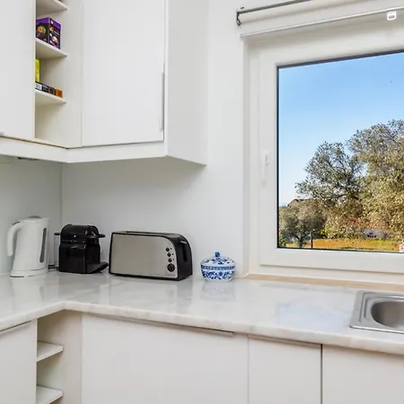 Quinta Do Arneiro * アゼイタオン